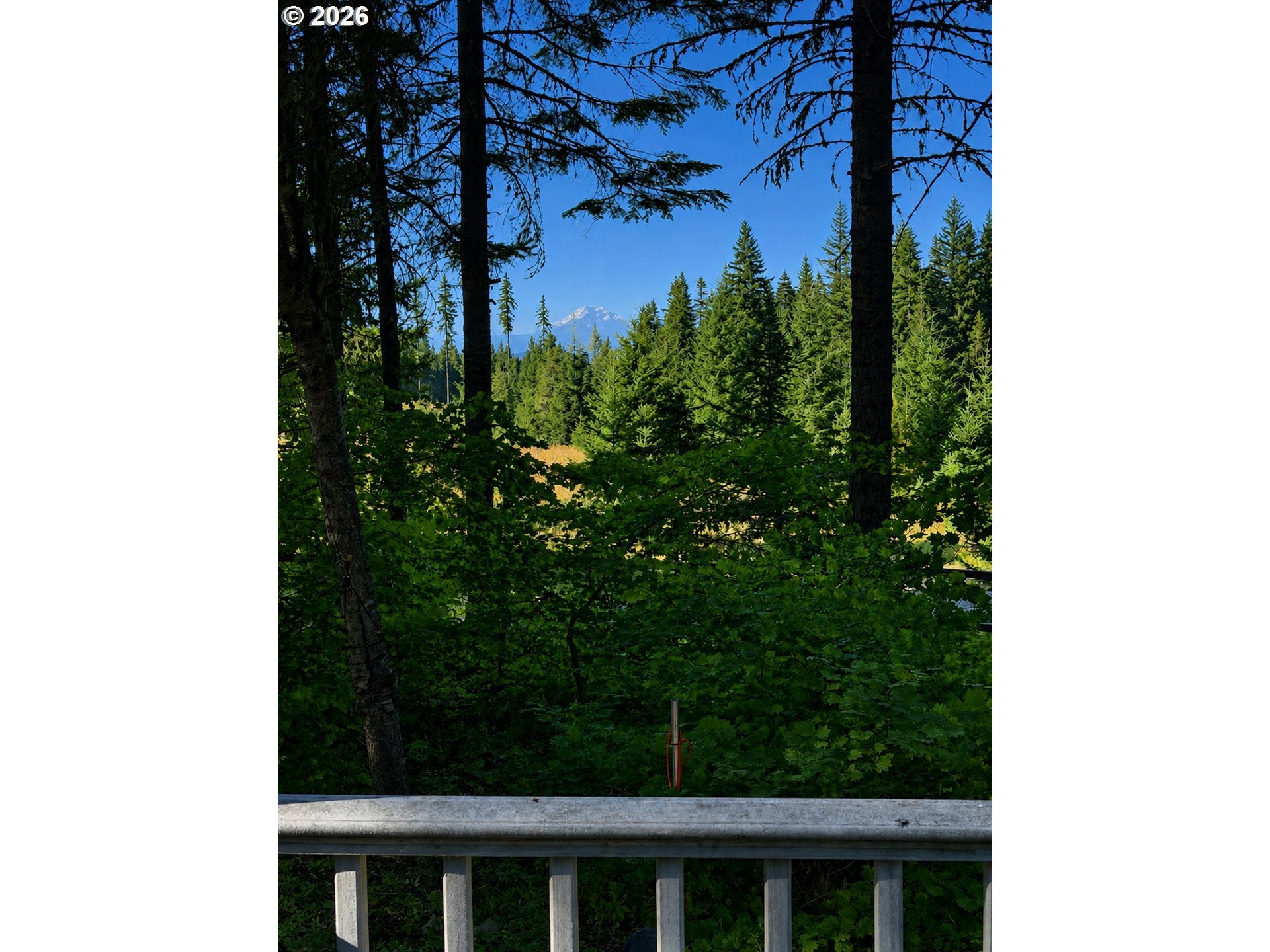 5000 MOUNTAIN SHADOWS DR