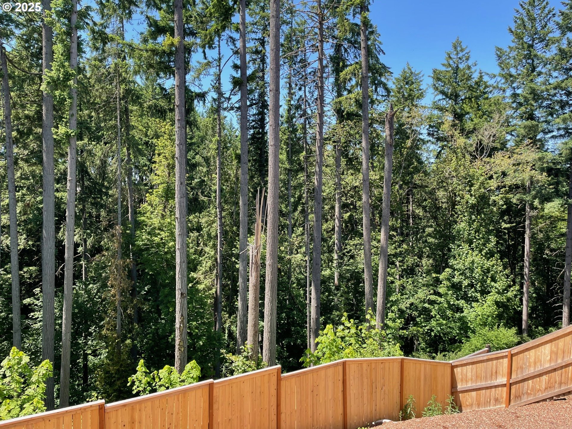 Beaverton, Oregon 97007, United States, 5 Bedrooms Bedrooms, ,4 BathroomsBathrooms,Residential,Active,140362