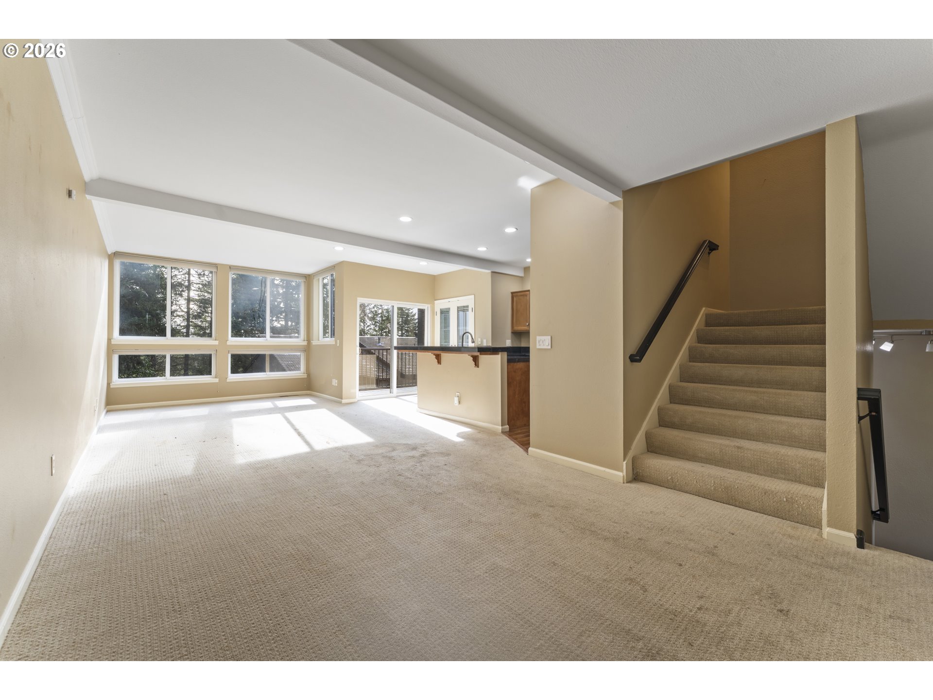 4405 THUNDER VISTA LN