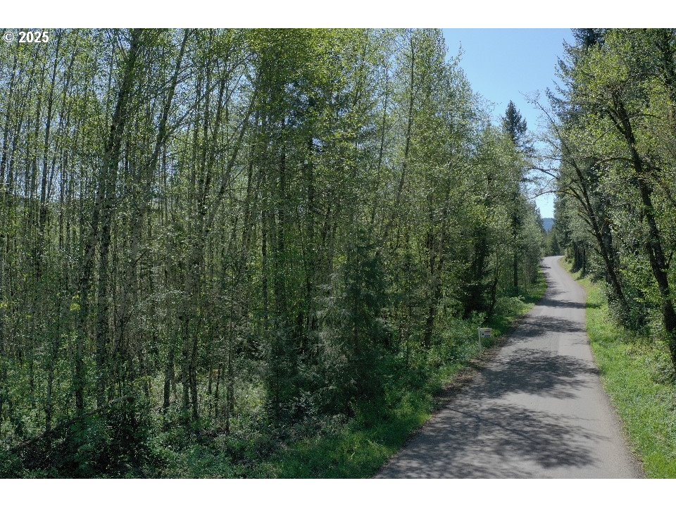 0 NE Elliott RD 53