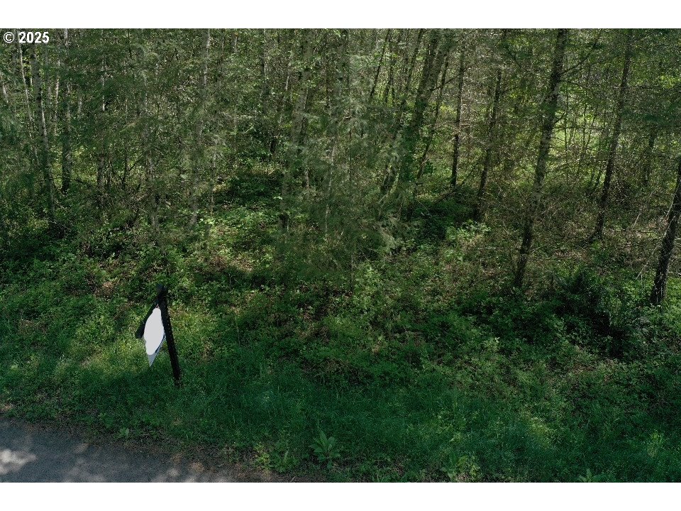 0 NE Elliott RD 53