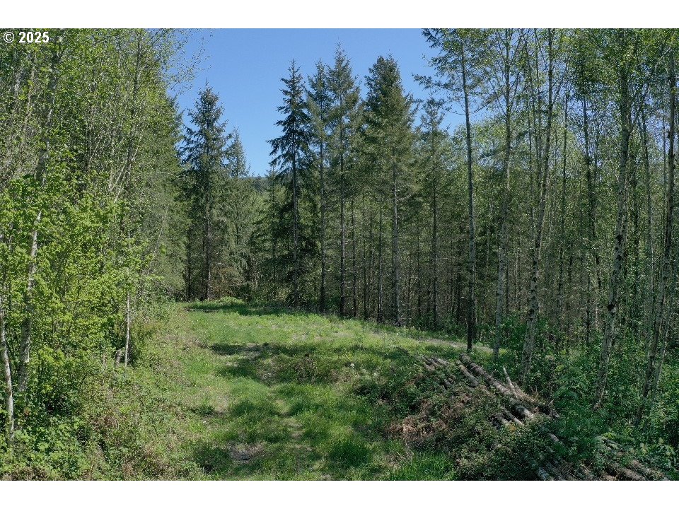0 NE Elliott RD 53
