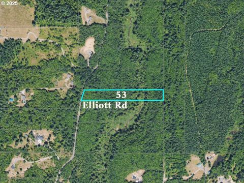 0 NE Elliott RD 53 Yacolt WA 98675