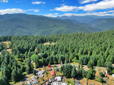 Tiny photo for 49626 High Prairie Loop, Oakridge, OR 97463 (MLS # 360069309)