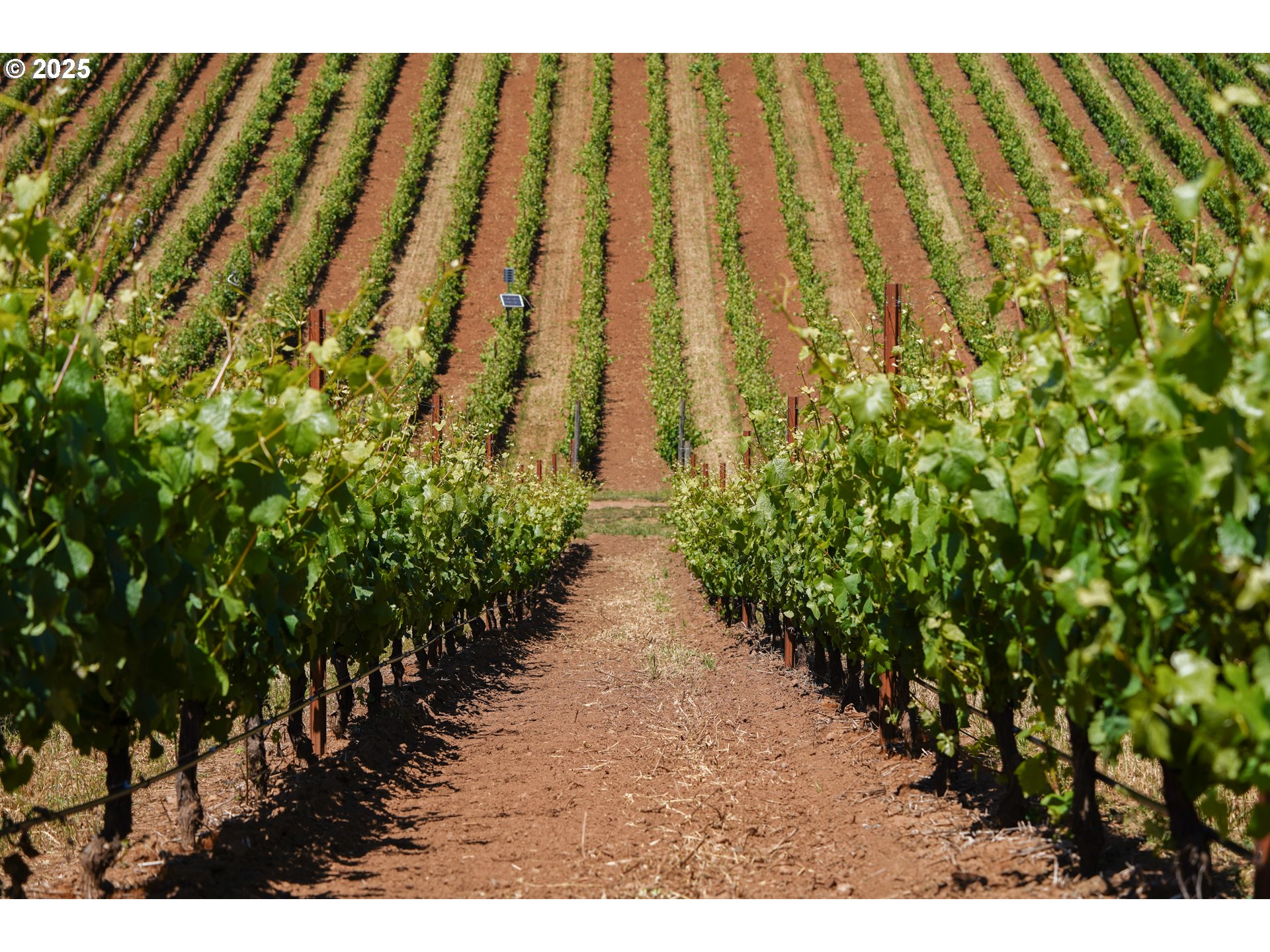 Carlton, Oregon 97111, United States, ,Commercial,Active,123063