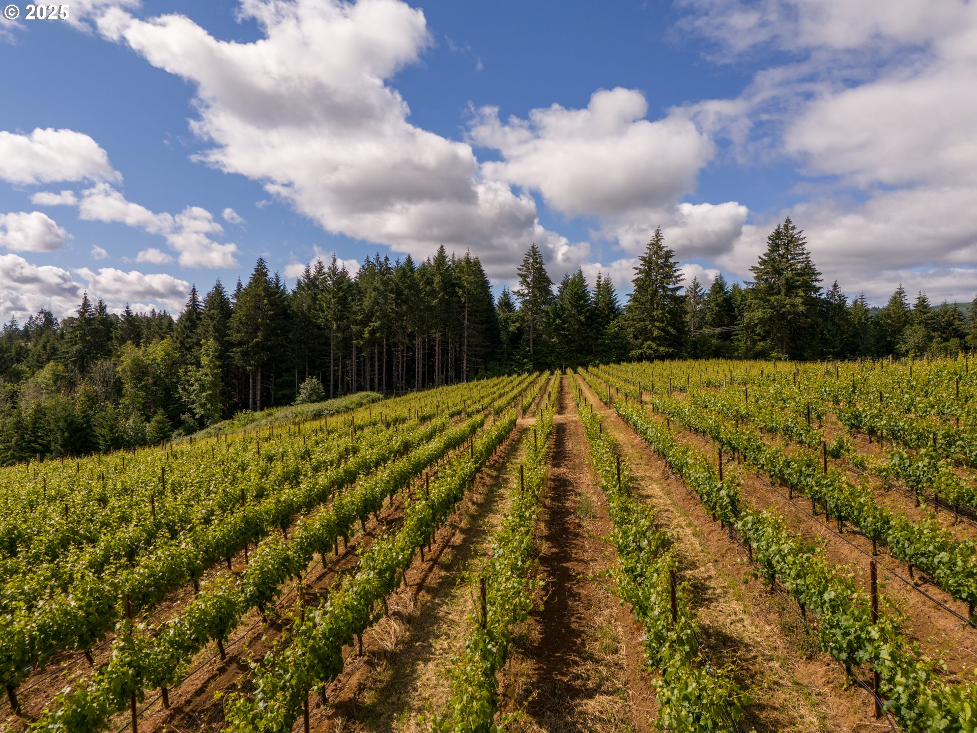 Carlton, Oregon 97111, United States, ,Commercial,Active,123063