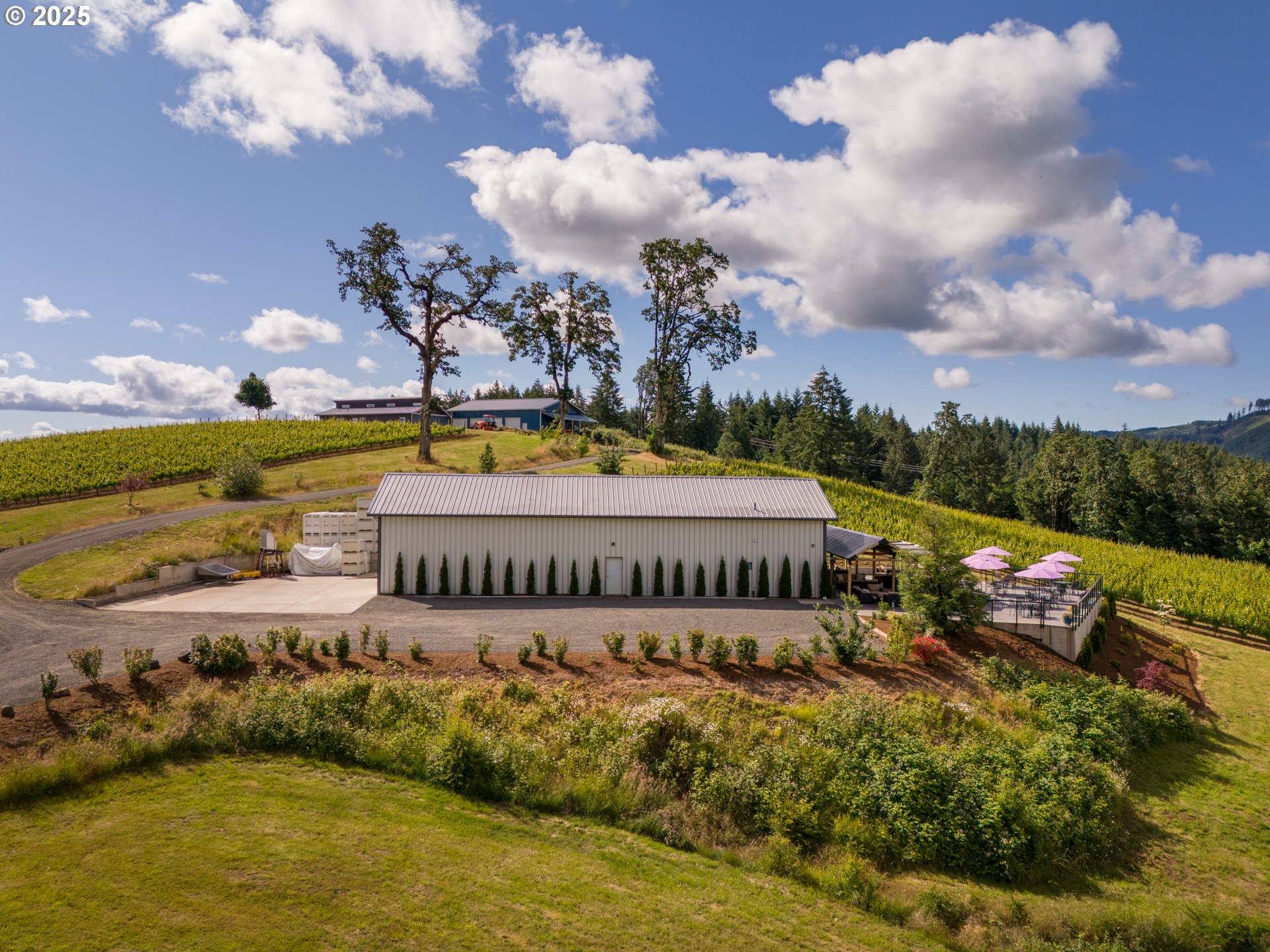 Carlton, Oregon 97111, United States, ,Commercial,Active,123063