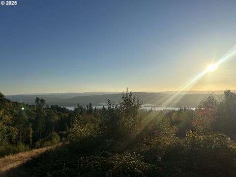 900 China Garden RD Kalama WA 98625