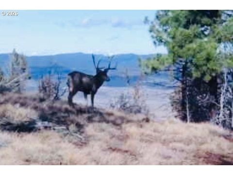 FS Rd 613 John Day OR 97845