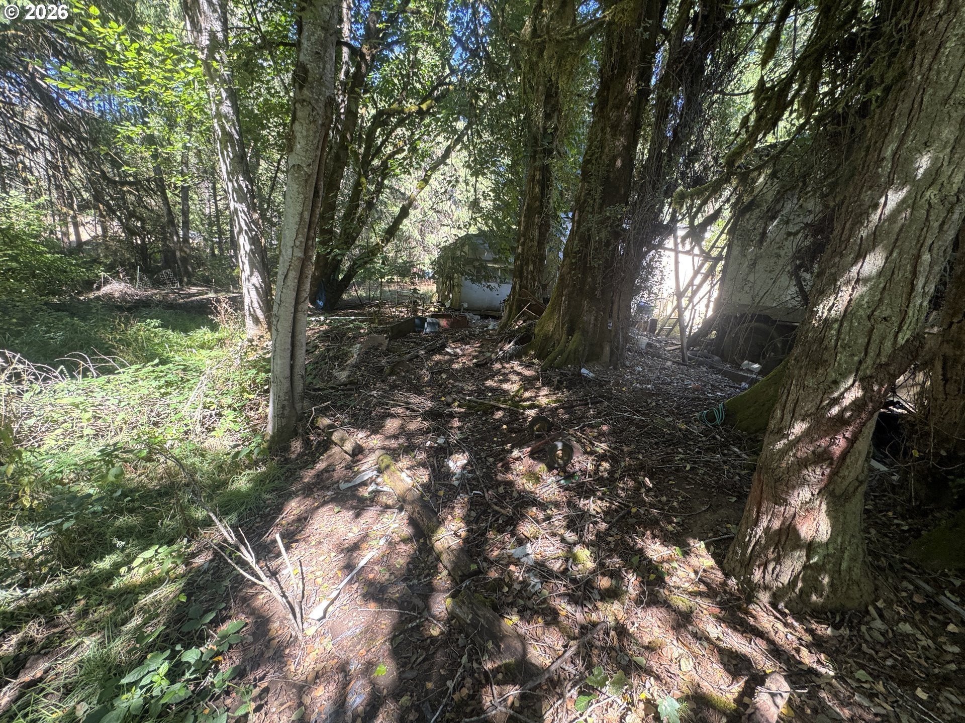 718 LEES CREEK RD