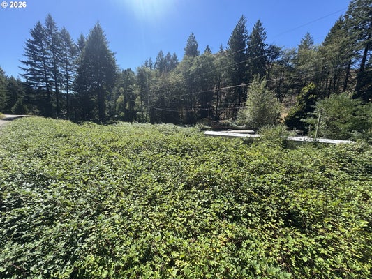 718 LEES CREEK RD, MYRTLE CREEK, OR 97457 - Image 33eb910d462dd48136cd3f295b478c8a/2948674310