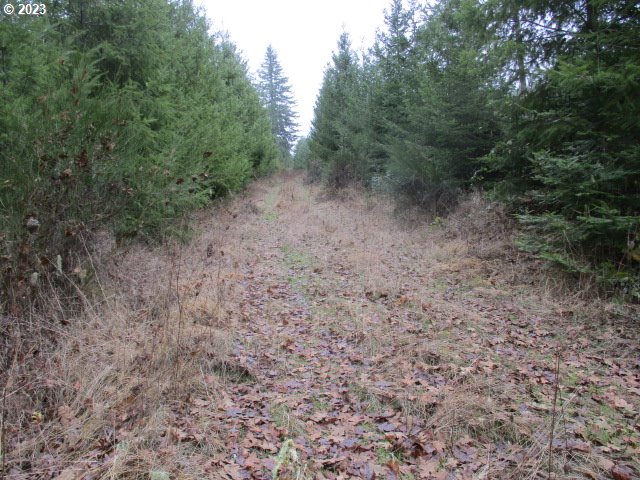 00 Buck Hollow RD