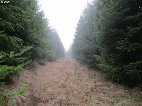 00 Buck Hollow RD Sheridan OR 97378