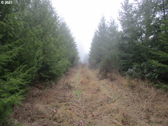 00 Buck Hollow RD