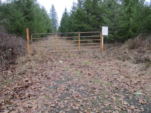 00 Buck Hollow RD
