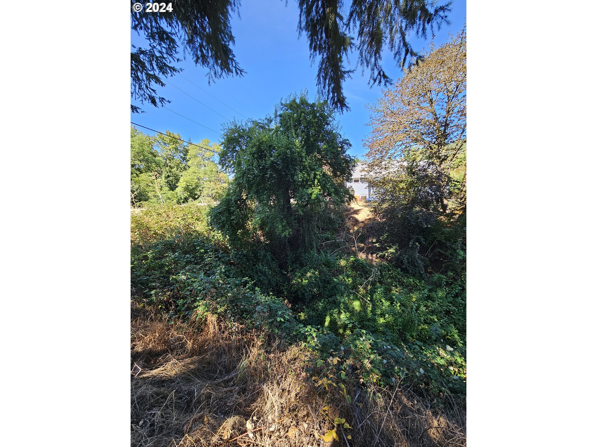1843 SE MAIN ST