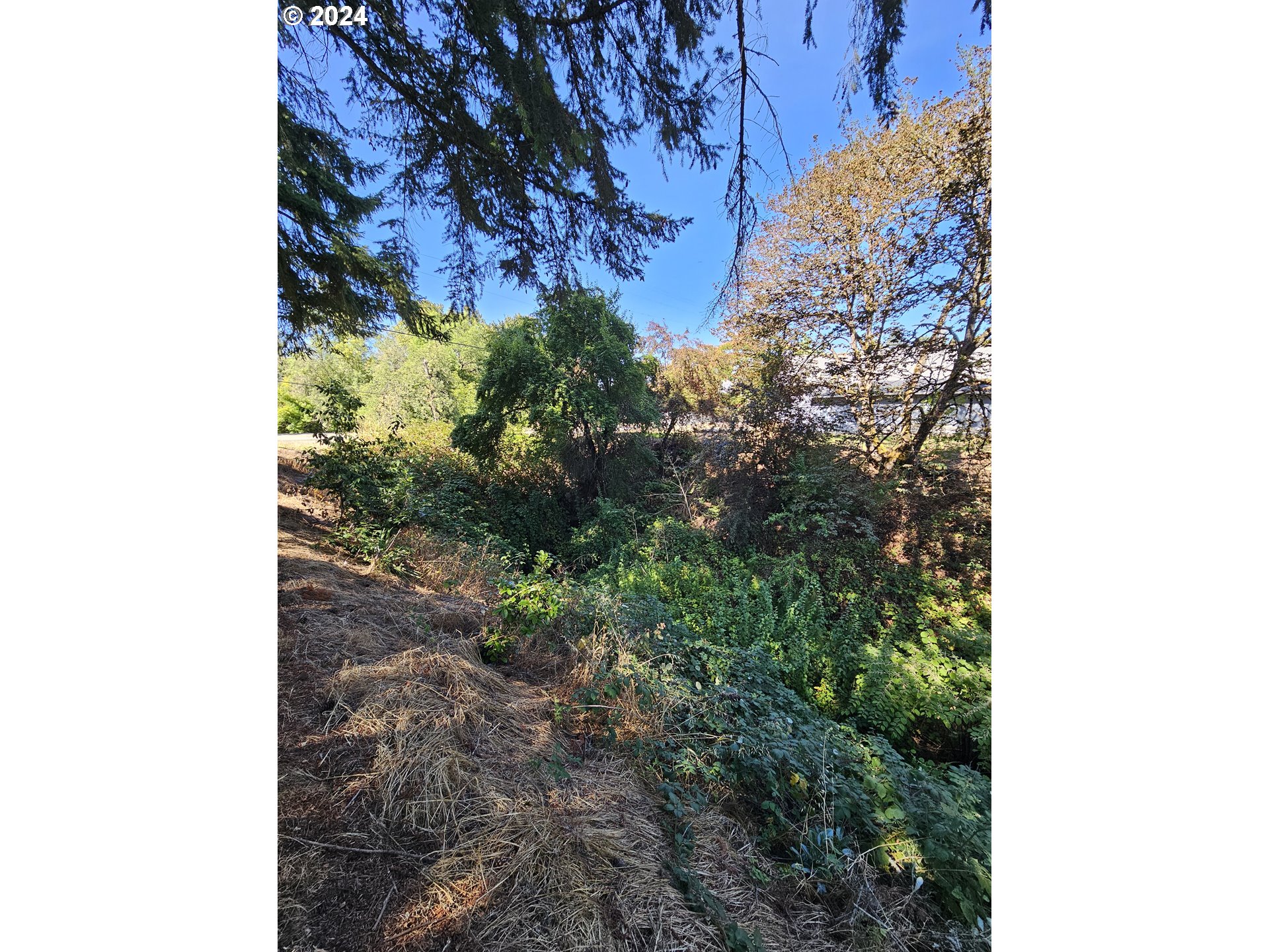 1843 SE MAIN ST