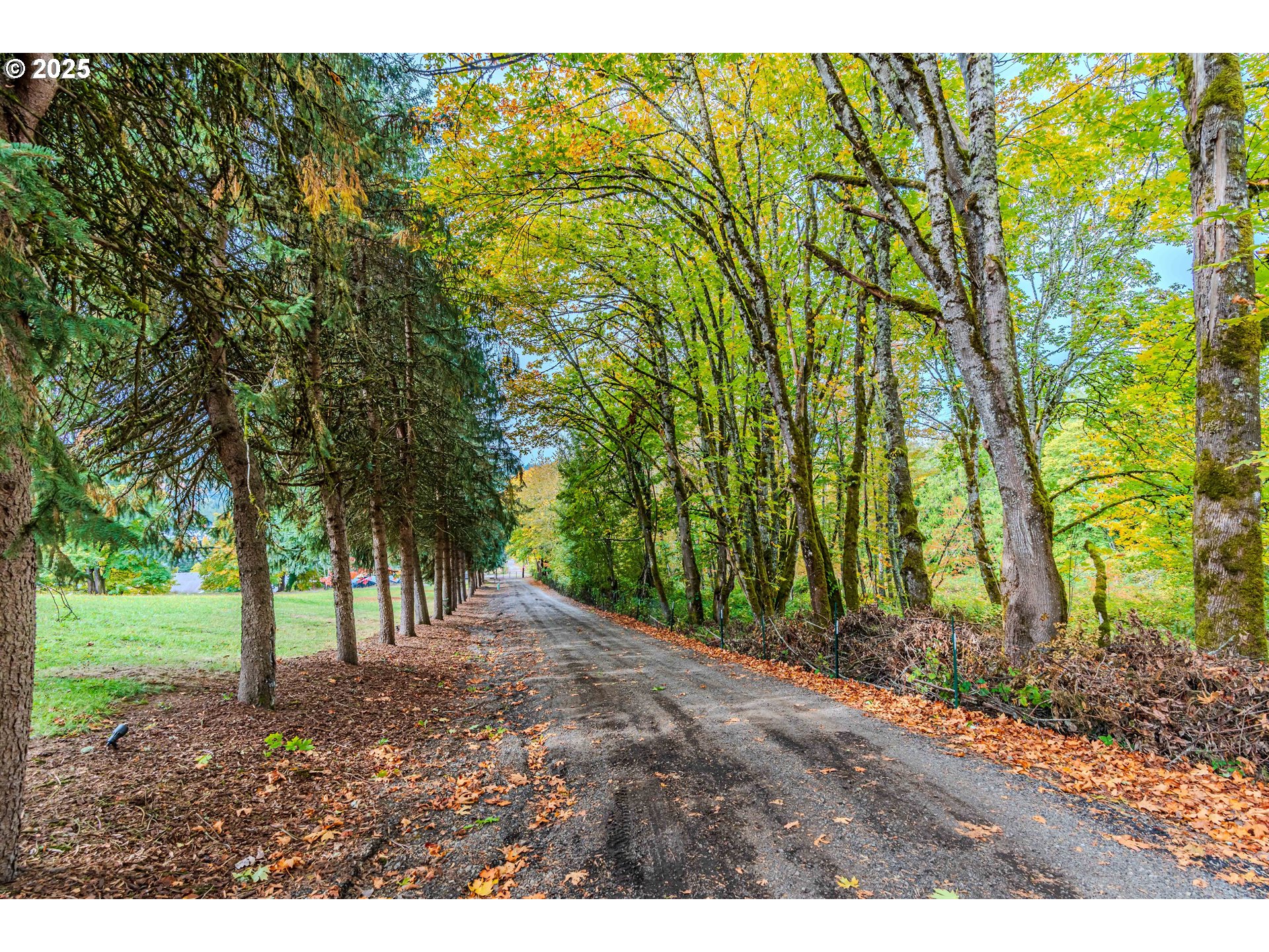 17675 SE MCKINLEY RD