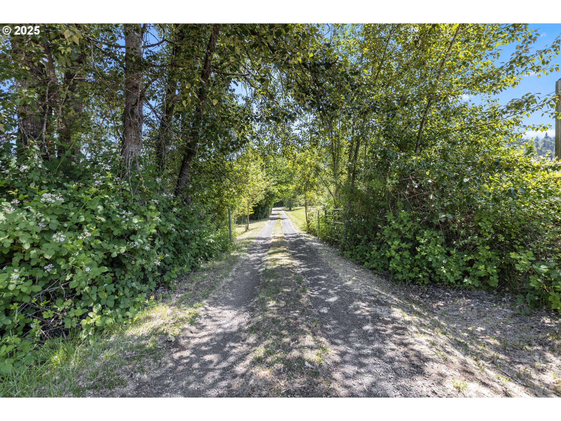 Cottage Grove, Oregon 97424, United States, 3 Bedrooms Bedrooms, ,3 BathroomsBathrooms,Residential,Active,151897