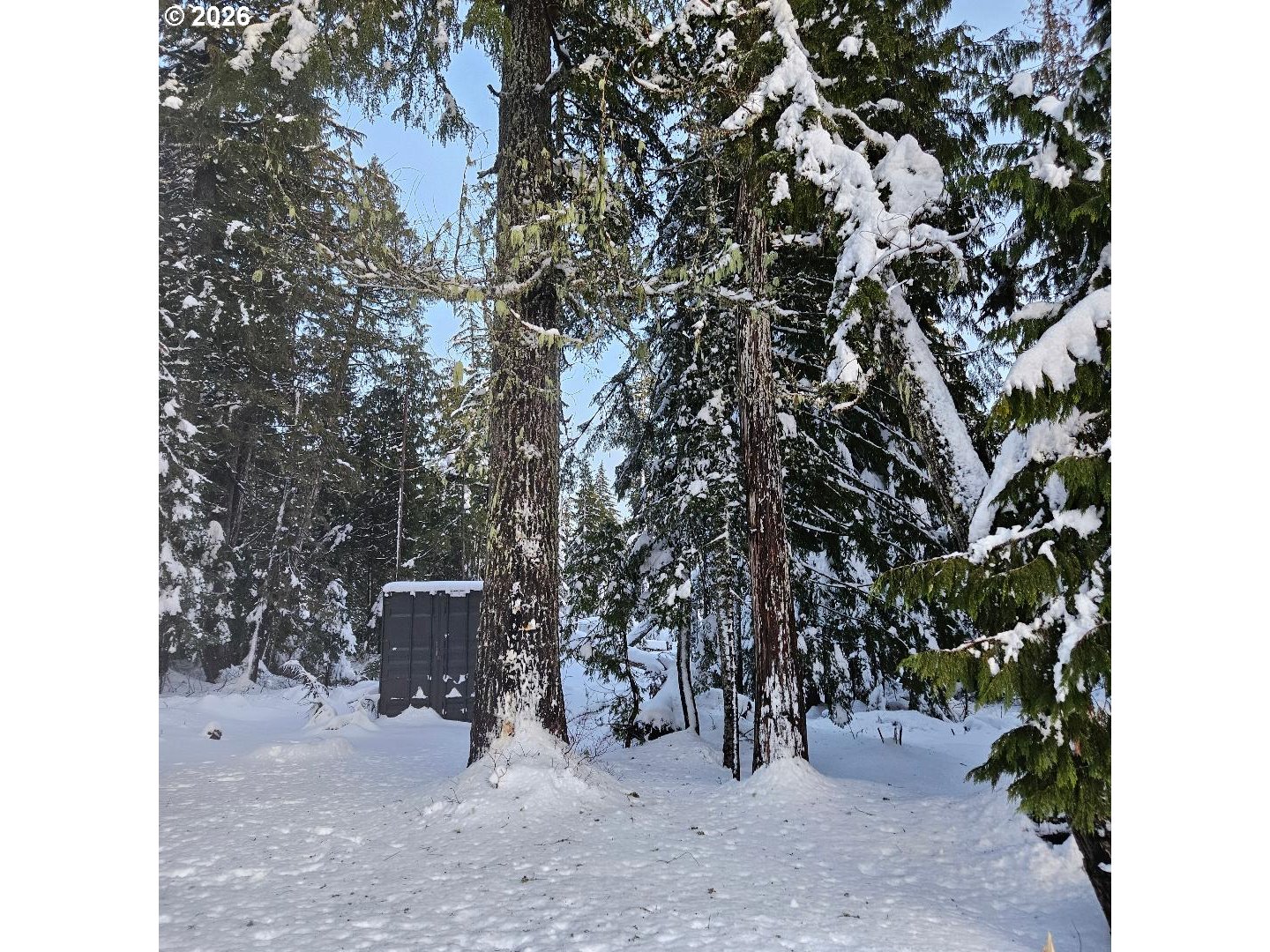 31060 E BERGSTRASSE RD