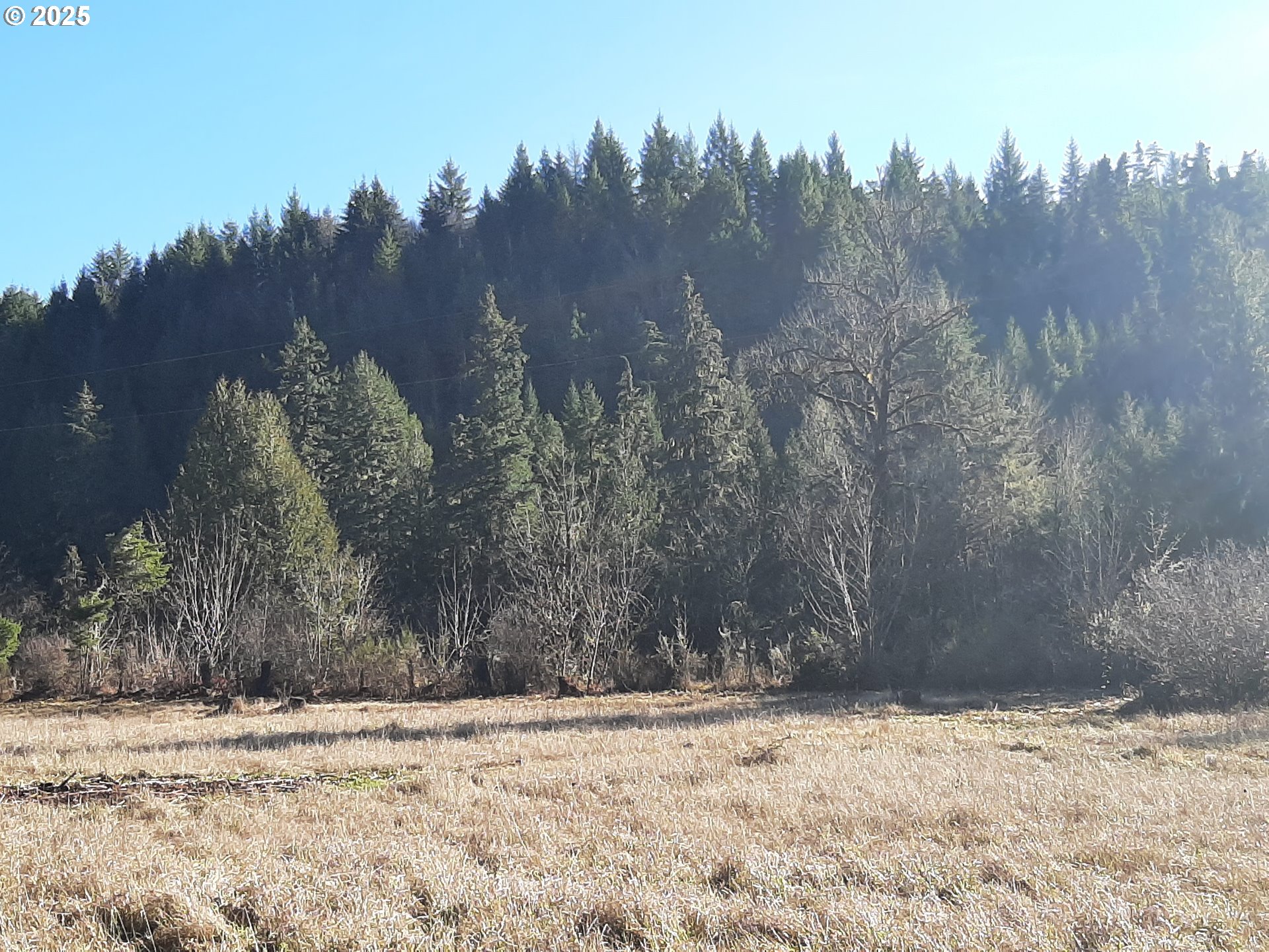 Dorena, Oregon 97434, United States, ,Land,Active,23905