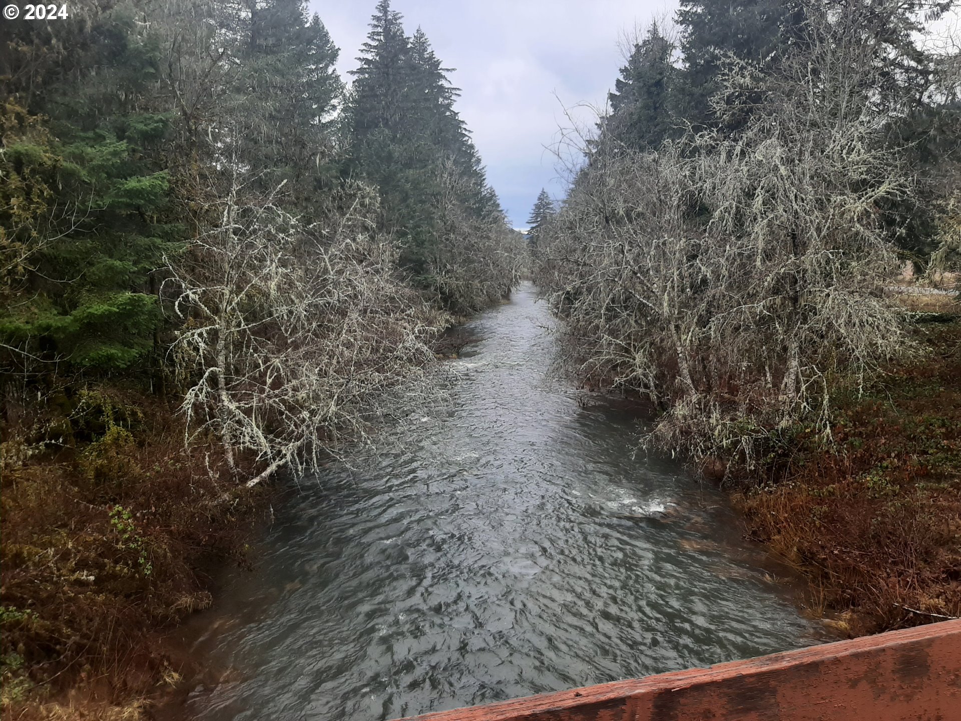 Dorena, Oregon 97434, United States, ,Land,Active,23905