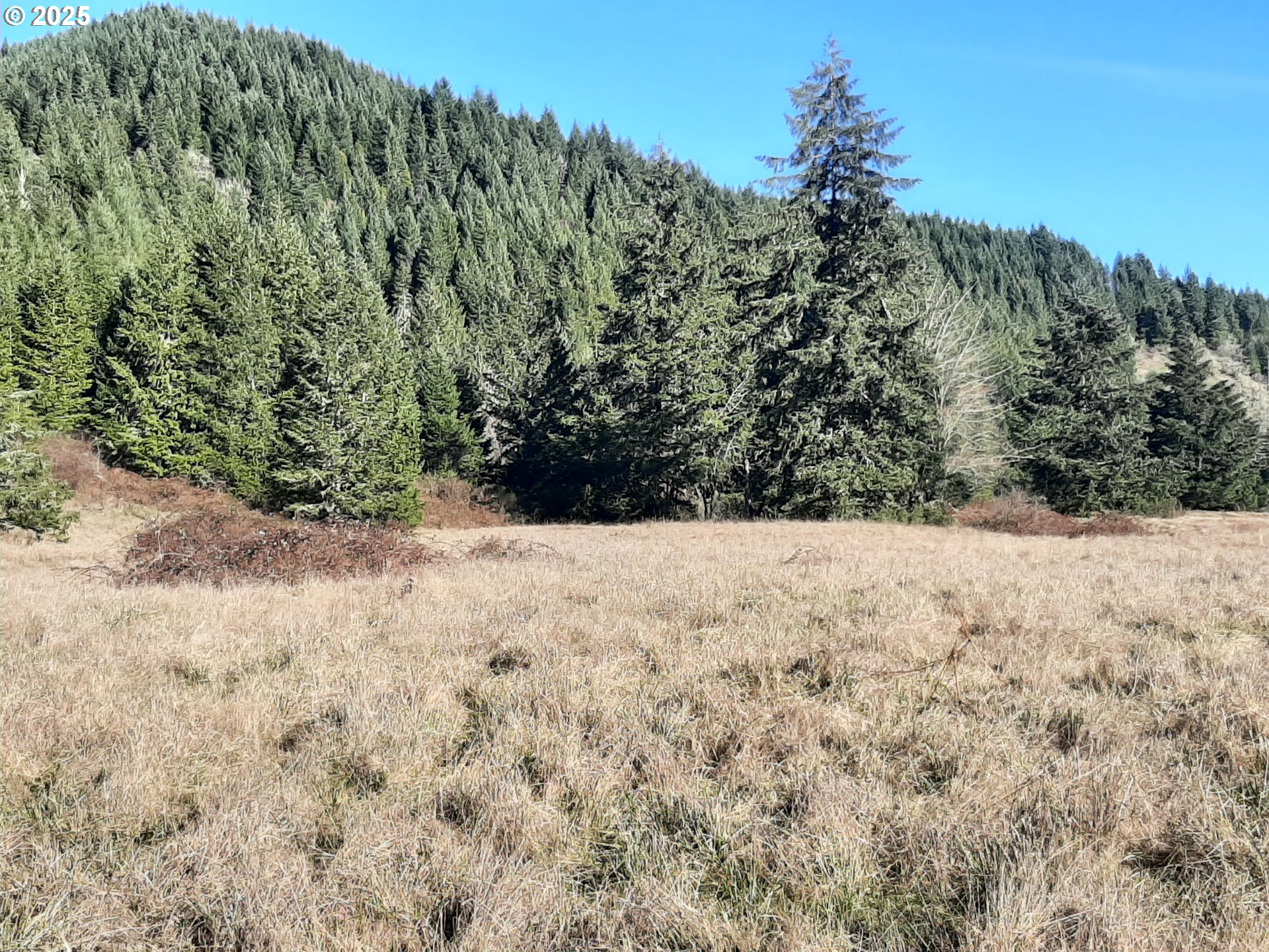 Dorena, Oregon 97434, United States, ,Land,Active,23905