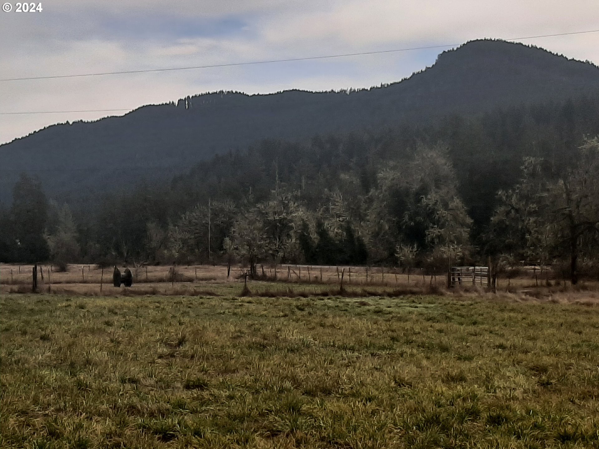 Dorena, Oregon 97434, United States, ,Land,Active,23905