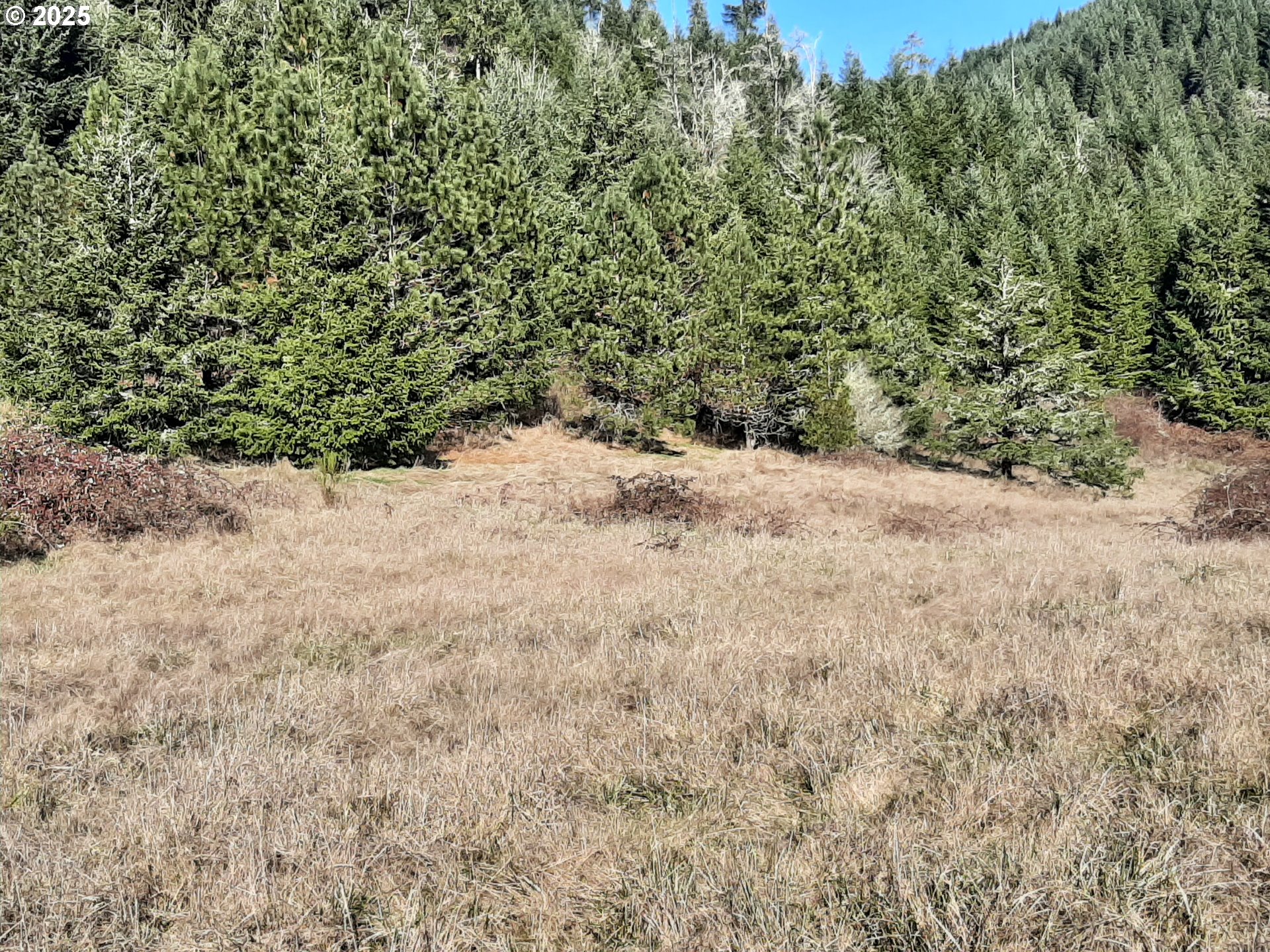 Dorena, Oregon 97434, United States, ,Land,Active,23905