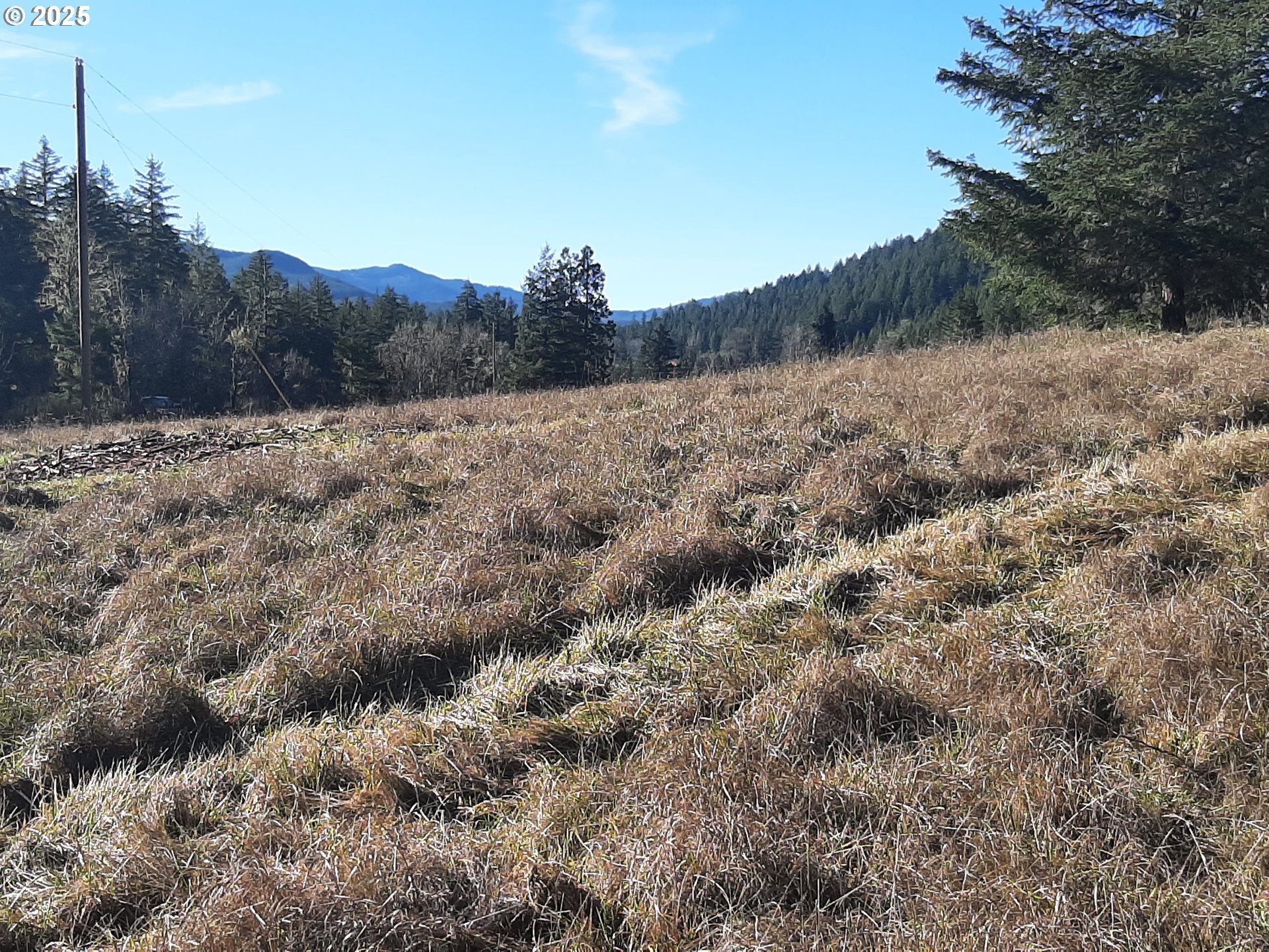 Dorena, Oregon 97434, United States, ,Land,Active,23905