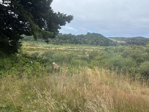 A home in Gold Beach