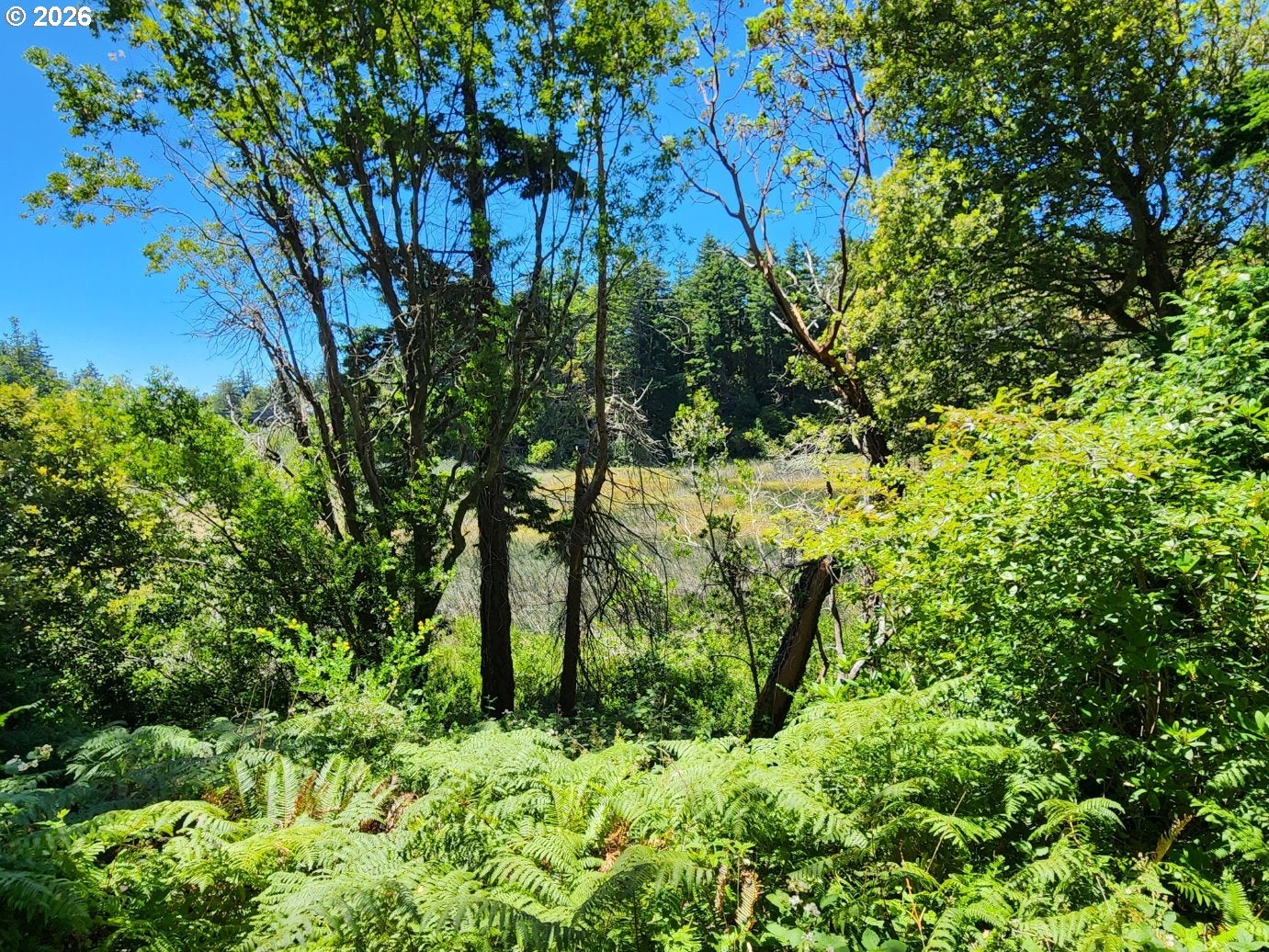 2537 PORT ORFORD LOOP