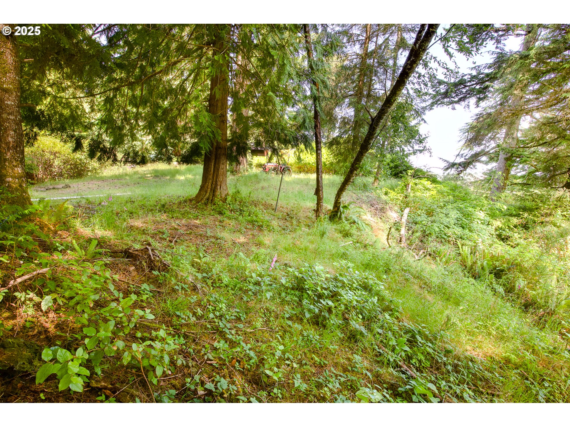 620 HILLTOP DR 01107