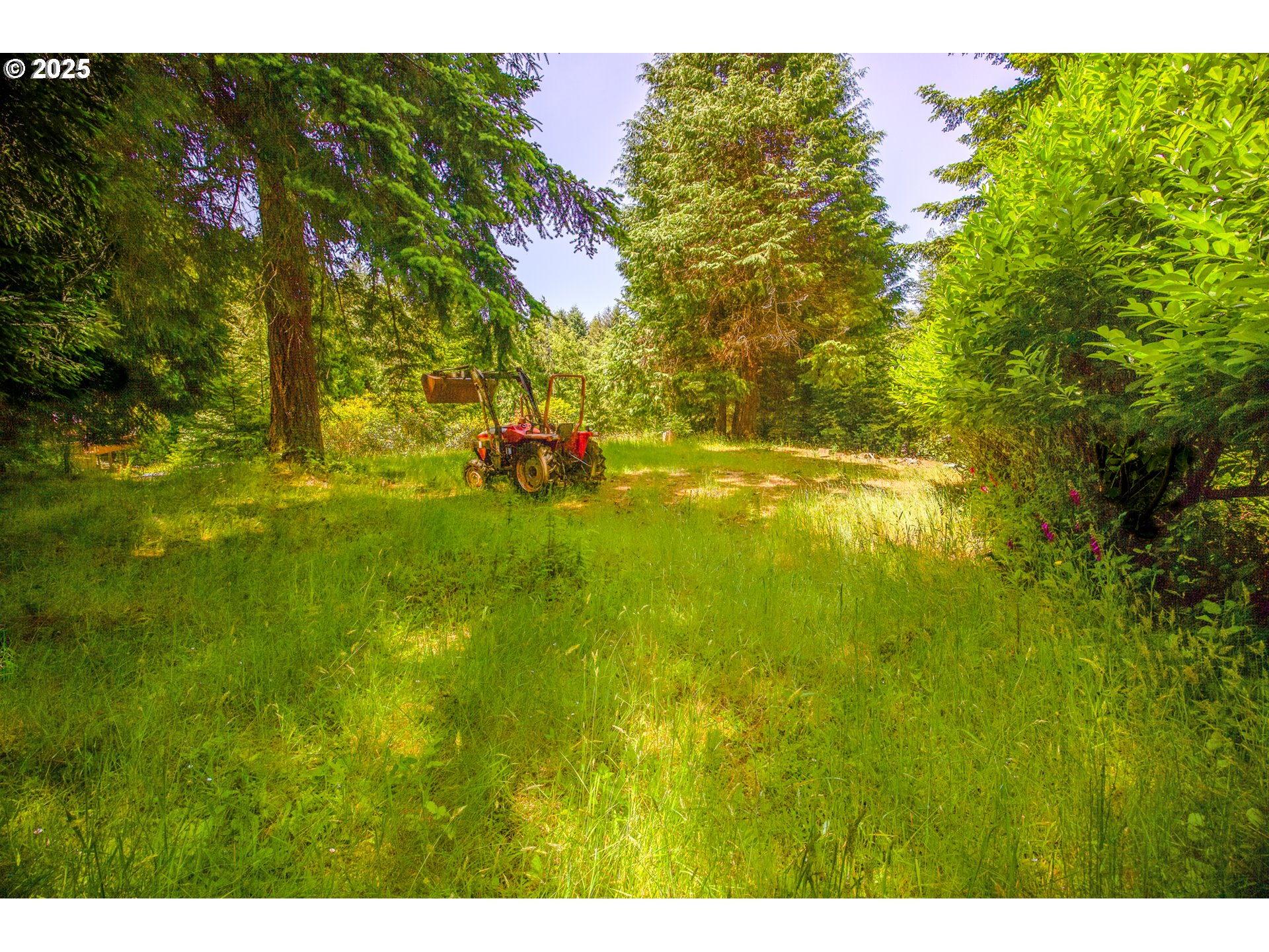 620 HILLTOP DR 01107