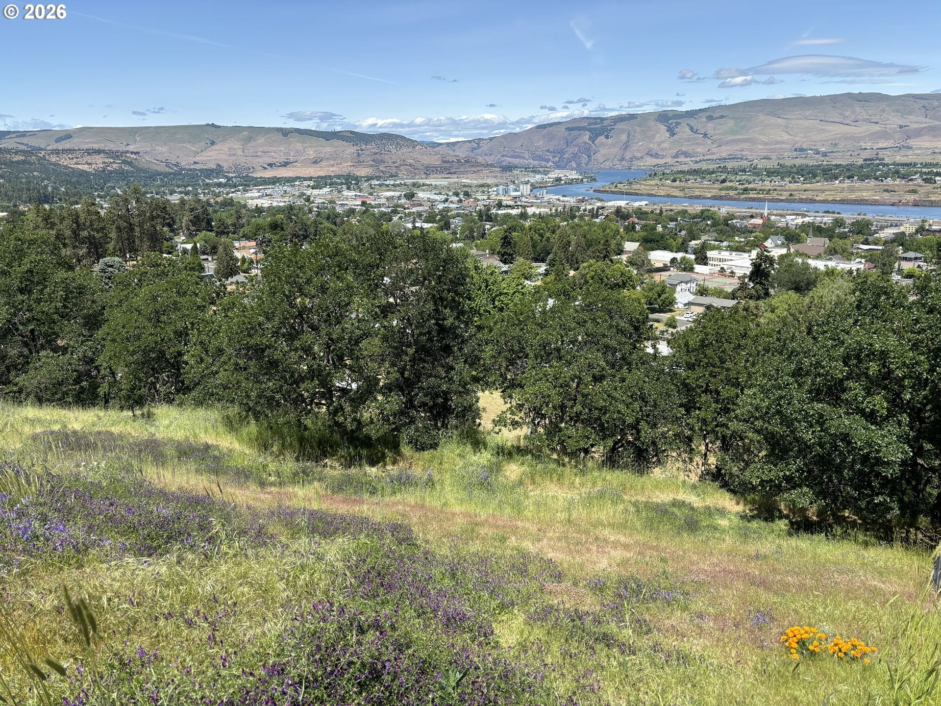 321 E SCENIC DR