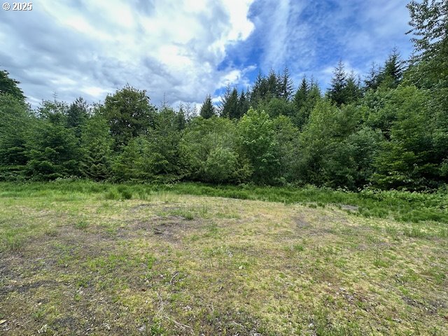 Photo 1 of 5 — 257 SERENITY LN, Kalama, WA 98625
