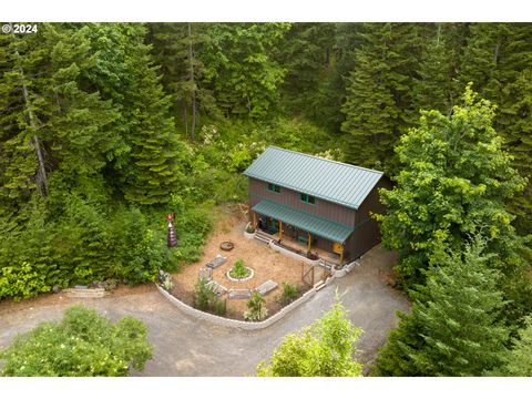 A home in Mt Hood Prkdl