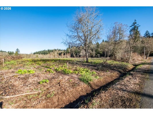 BALLYNTYNE RD S, SALEM, OR 97302 - Image 3a73c3d257a5fa02d6aebf00f55ea1bf/2480334811