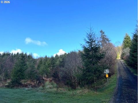 NW Wilcox DR Timber OR 97144