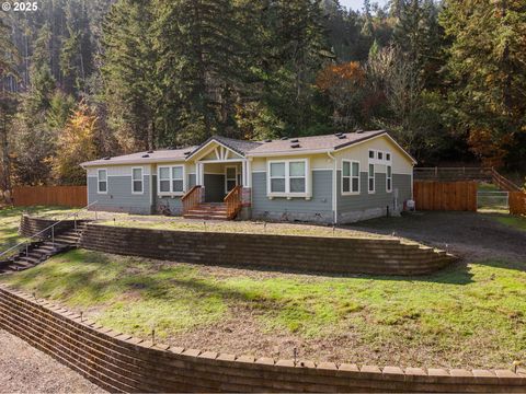712 SIBOLD CANYON RD Tenmile OR 97481