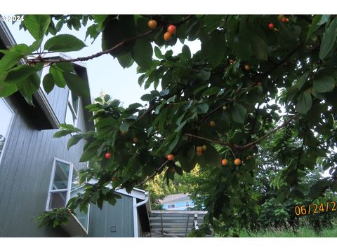 A home in Clatskanie