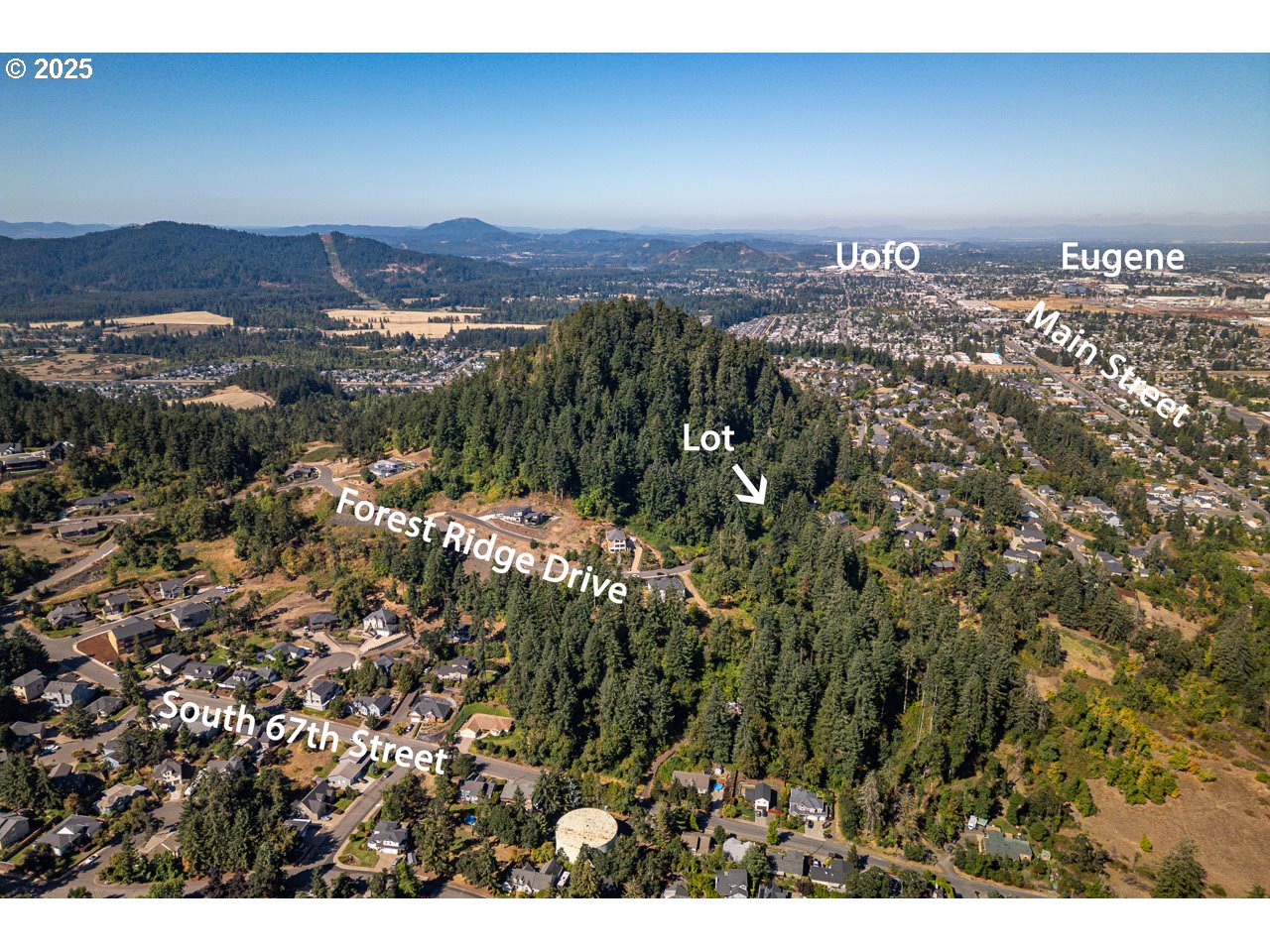 Forest Ridge Dr