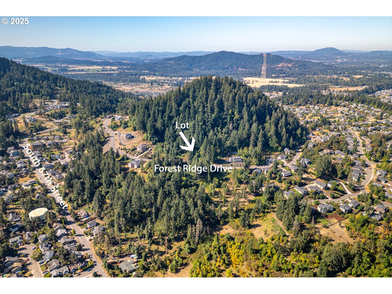 Forest Ridge Dr