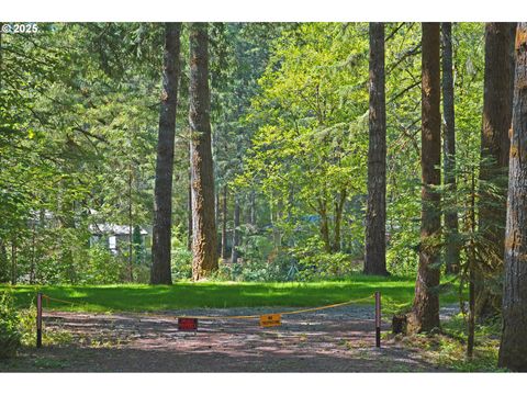 30703 NE OLSON RD Yacolt WA 98675