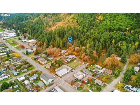 Tiny photo for 48117 E 2nd St, Oakridge, OR 97463 (MLS # 543022370)