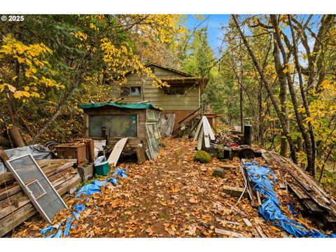 Photo of 48117 E 2nd St, Oakridge, OR 97463 (MLS # 543022370)