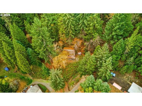 Tiny photo for 48117 E 2nd St, Oakridge, OR 97463 (MLS # 543022370)