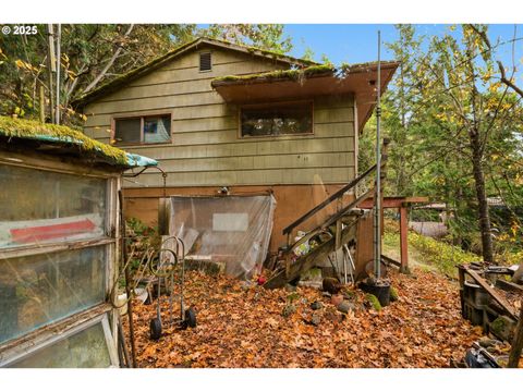 Tiny photo for 48117 E 2nd St, Oakridge, OR 97463 (MLS # 543022370)