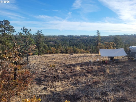 605 PINE CREEK RD, BICKLETON, WA 99322 - Image 3b97643ac1df0f3f8a96b361c8288b64/3897131483