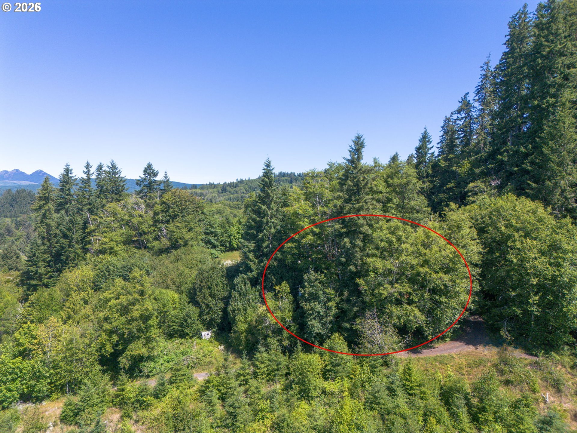 00 Elderberry DR